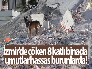 İzmir'de çöken 8 katlı binada umutlar hassas burunlarda