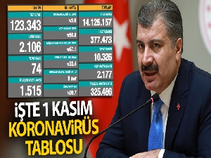 Türkiye'de son 24 saatte 2106 kişiye Kovid-19 hastalık tanısı konuldu, 74 kişi hayatını kaybetti