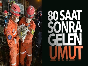 Enkazdan bir kedi 80 saat sonra sağ olarak kurtarıldı!