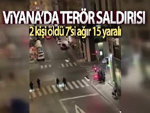Avusturya'daki silahlı saldırıda ölü sayısı 3'e yükseldi