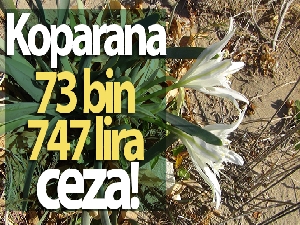 Koparana 73 bin 747 lira ceza