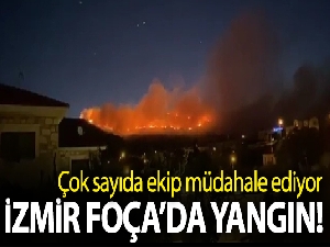 İzmir Foça'da yangın