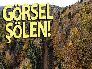 Yıkılan binayı böyle izlediler