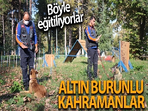 Ambulansı sollarken gelen facia! 4 ölü, 3 yaralı