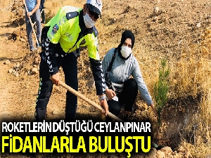Roketlerin düştüğü topraklar fidanla buluştu