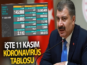 Türkiye'de son 24 saatte 2693 kişiye Kovid-19 hastalık tanısı konuldu, 86 kişi hayatını kaybetti