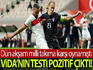 Vida'nın testi pozitif çıktı