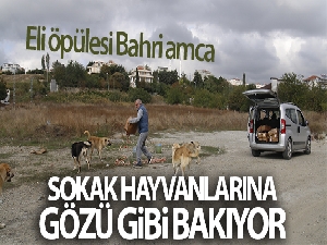 Emekli Bahri amca sokak hayvanlarına gözü gibi bakıyor