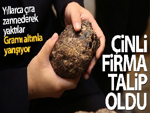 Gramı altınla yarışan kehribara Çin talip oldu