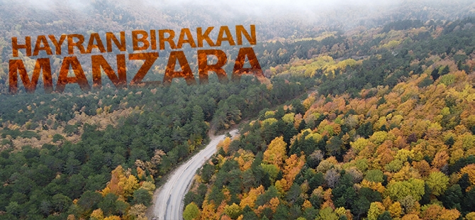 Otomobilin motorunun yerinden fırladığı kazadan burnu bile kanamadan kurtuldu