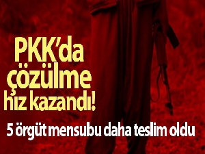 PKK'da çözülme hız kazandı! 5 örgüt mensubu daha teslim oldu