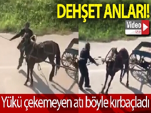 Bursa'da dehşet...Yükü çekmeyen atı böyle kırbaçladı