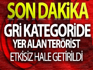 MİT'ten eylem hazırlığındaki PKK'lıya operasyon