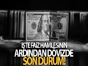 Faiz hamlesinin ardından dövizde son durum!