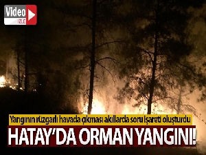 Hatay'da orman yangını