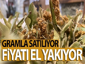 Kış aylarının vazgeçilmez ıhlamur fiyatı ile el yakıyor