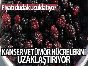 Fiyatı dudak uçuklatıyor, kanser ve tümör hücrelerini uzaklaştırıyor