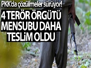 Terör örgütü PKK'da çözülme hızlandı, 4 örgüt mensubu daha ikna yoluyla teslim oldu