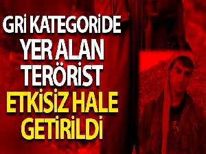 MİT, PKK'lıları bir bir etkisiz hale getiriyor