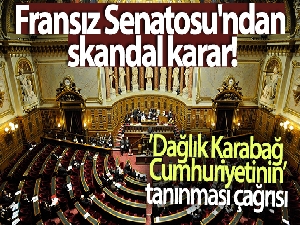 Fransız Senatosu'ndan skandal karar