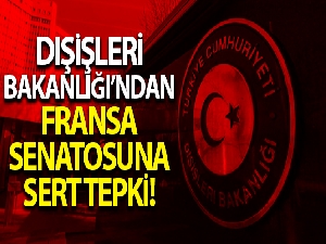 Dışişleri Bakanlığı'ndan Fransa Senatosu'na tepki