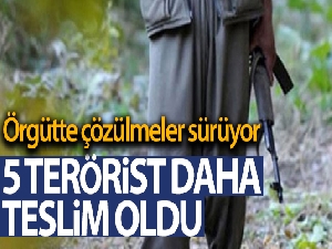 Örgütte çözülmeler sürüyor! 5 PKK terör örgütü mensubu teslim oldu