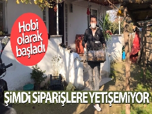 Hobi olarak başladığı kivi üretiminde şimdi siparişlere yetişemiyor