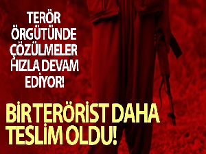 İçişleri Bakanlığı, 'Terör örgütünde 20 yıldır faaliyet yürüten örgüt mensubu teslim oldu'