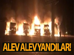 Alev alev yanan 5 tır kullanılmaz hale geldi