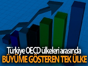 Türkiye OECD ülkeleri arasında büyüme gösteren tek ülke