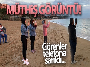 Turistlerin çekildiği sahiller yunuslara kaldı