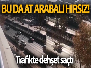 Bursa'da at arabalı hırsız dehşet saçtı