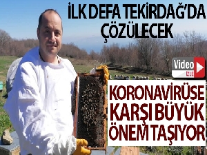 Milli Arı Genleri dünya bilim camiasında kabul görecek