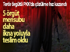 Terör örgütü PKK'da çözülme hız kazandı, 5 örgüt mensubu daha ikna yoluyla teslim oldu