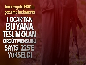 İkna yoluyla 2 PKK'lı terörist daha teslim oldu