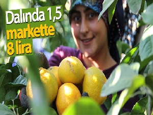 Dalında 1,5 markette 8 lira