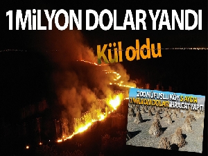 1 milyon dolar yanarak kül oldu
