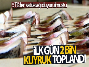 Antalya'da ilk günde 2 bin kuyruk toplandı