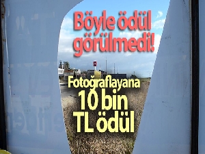 Böyle ödül görülmedi: Fotoğraflayana 10 bin TL ödül