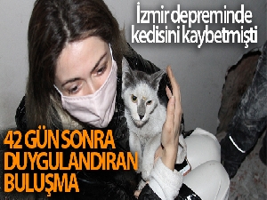 Depremden bu yana kayıp kedisine 42 gün sonra kavuştu