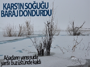 Kars'ın soğuğu baraj dondurdu