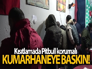 Kısıtlamada Pitbull korumalı kumarhaneye baskın kamerada