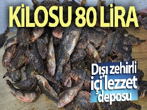 Dışı zehirli içi lezzet deposu