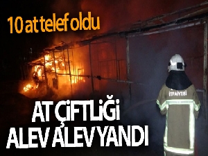 At çiftliği alev alev yandı: 10 at telef oldu