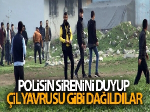 Polisin sirenini duyup çil yavrusu gibi dağıldılar