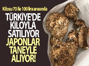 Türkiye'de kiloyla satılıyor, Japonlar taneyle alıyor