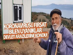 Koronavirüsü fırsat bilen uyanıklar, devlet arazilerine kondu