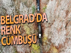 Belgrad Ormanı'nda renk cümbüşü