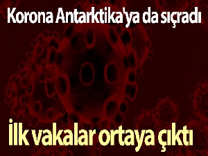 Korona Antarktika'ya da sıçradı