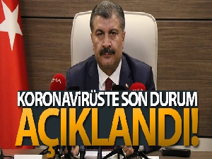 Türkiye'de son 24 saatte 19.256 koronavirüs vakası tespit edildi